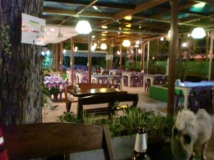 【パタヤ グルメ】現地の辛さ！　パタヤのレストラン　ソムタムプーマー（Somtam Pooma）