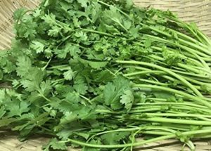 【タイ グルメ】パクチー は薬味です！パクチー料理はタイにはありません！